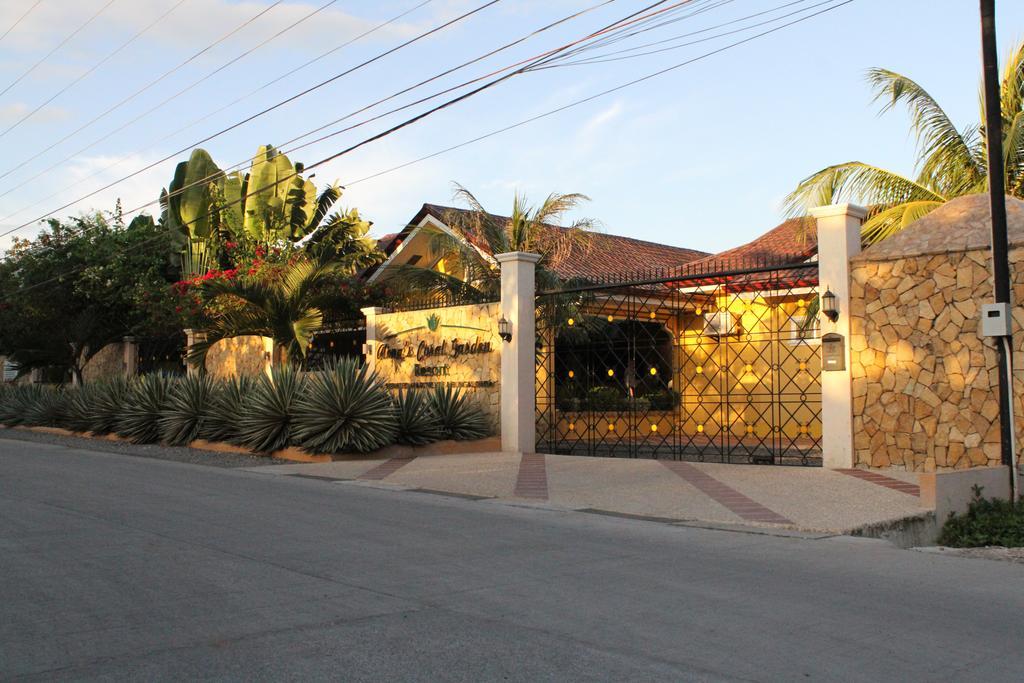 Alona'S Coral Garden Resort (Adults Only) Panglao Εξωτερικό φωτογραφία